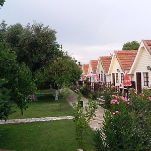 Nova Beach Hotel